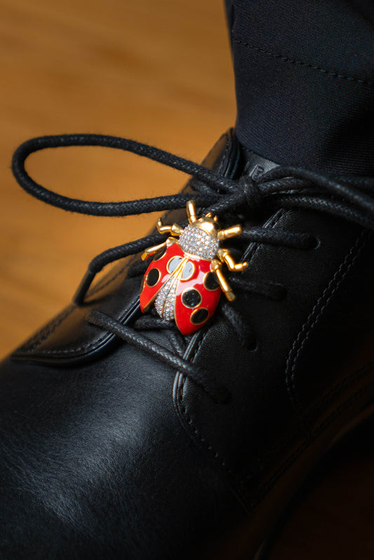 Diamond Ladybug